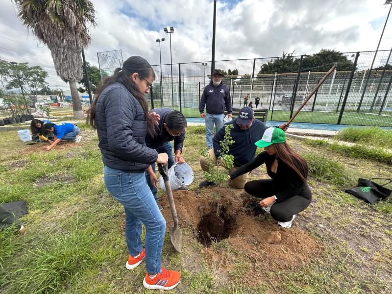 Recibos digitales de agua se volverán plantación de árboles nativos