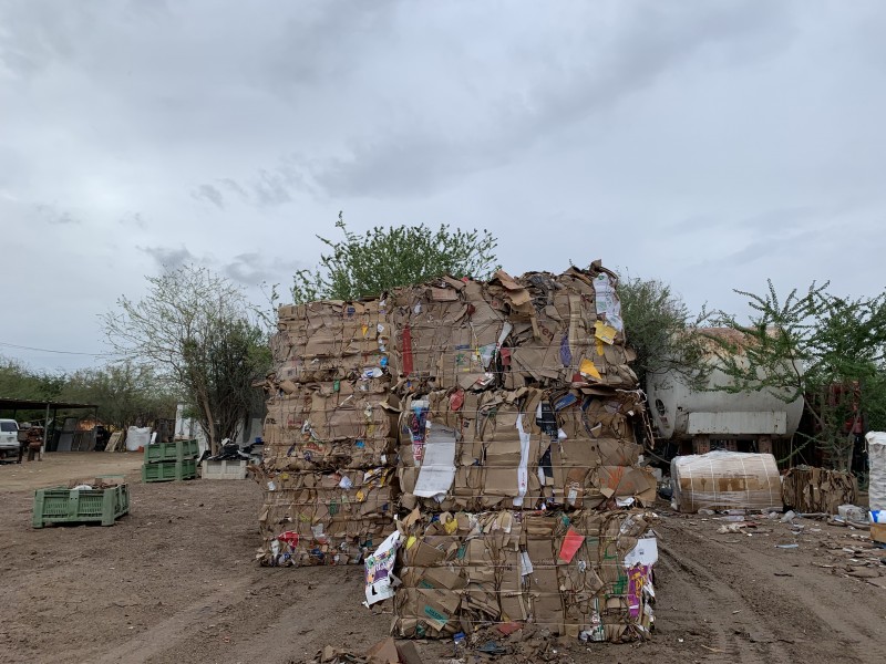 Reciclan hasta 1 tonelada de cartón al día