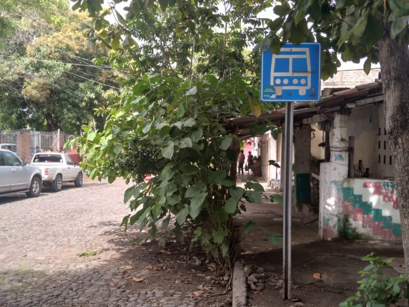 Reclaman reactivación de la ruta 19 en Rancho de Villa