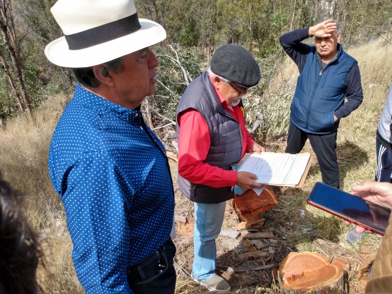 Reclaman tala de árboles en fraccionamiento Bosques La Encantada