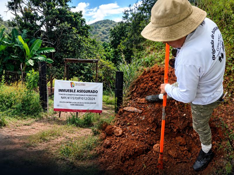 Reclutamiento de menores y cuerpos calcinados en predio de Xalisco