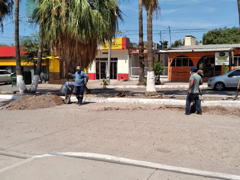 Recogen 120 toneladas de tierra por lluvias en Guaymas