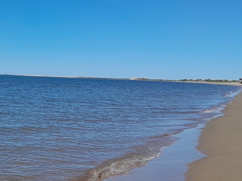 Recogen 130 toneladas de basura en playas de Ahome