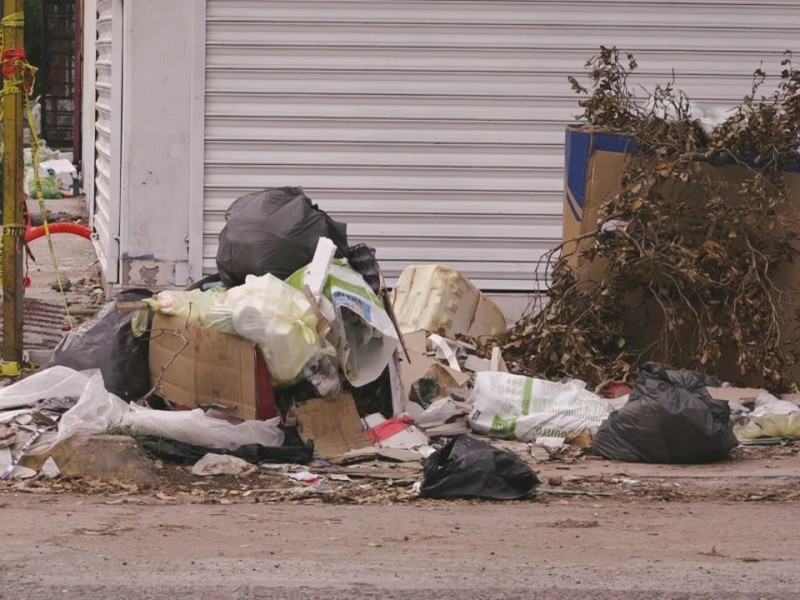 Recolección de basura, un servicio caro y deficiente