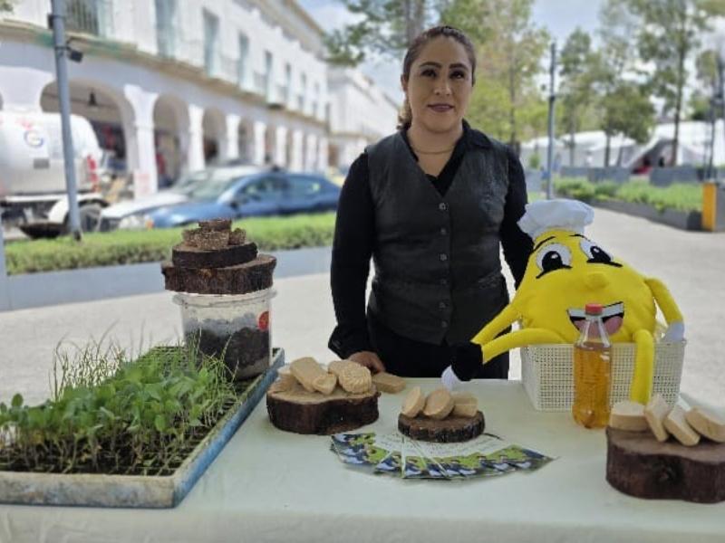 Recolección de plástico queda lejos de cerrar el ciclo productivo