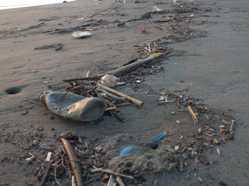 Recolectan 21 toneladas de basura en Playas chiapanecas