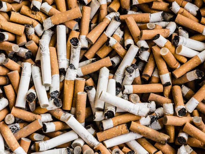 Recolectan 260 mil colillas de cigarros en 2021 en Sonora