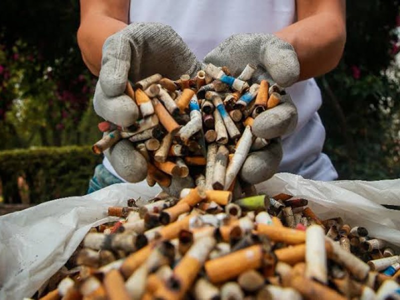 Recolectan 300 mil colillas de cigarros en Sonora en 2022