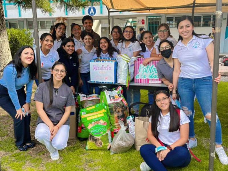 Recolectan alimento para centros de control animal