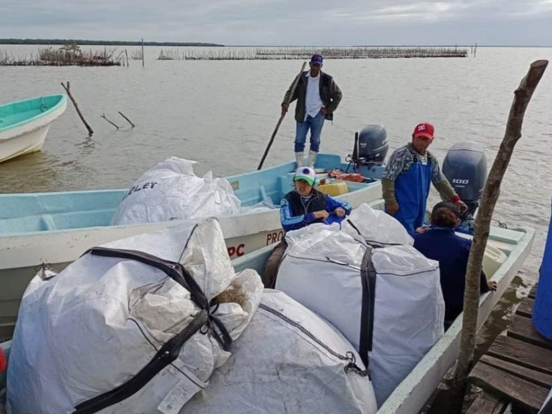 Recolectan de redes en desecho en Tamiahua