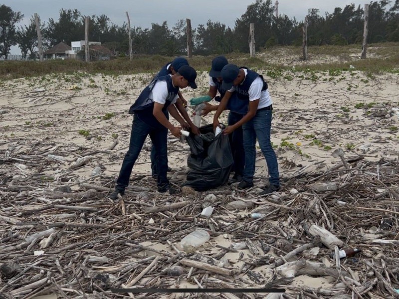 Recolectan más de 100 toneladas de basura en playas de Tuxpan ...