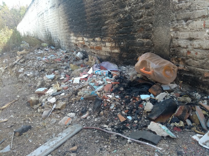 Recolectan más de 270 toneladas de basura