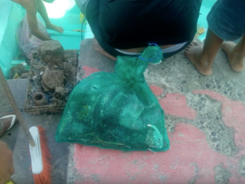 Recolectan una tonelada de basura en arrecifes