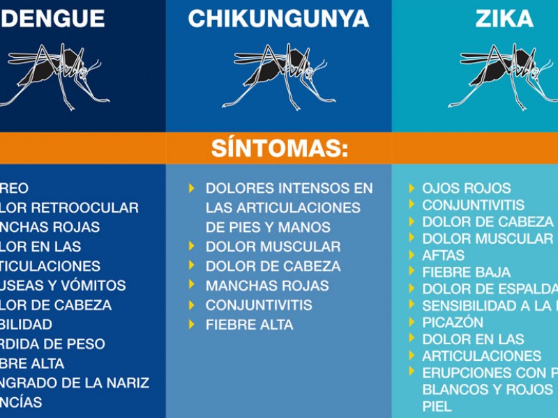 Recomendaciones para evitar Dengue, Zika y Chikungunya