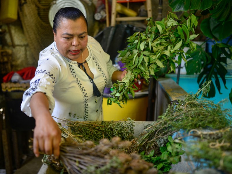 Reconocen trabajo de las parteras  tradicionales en Veracruz