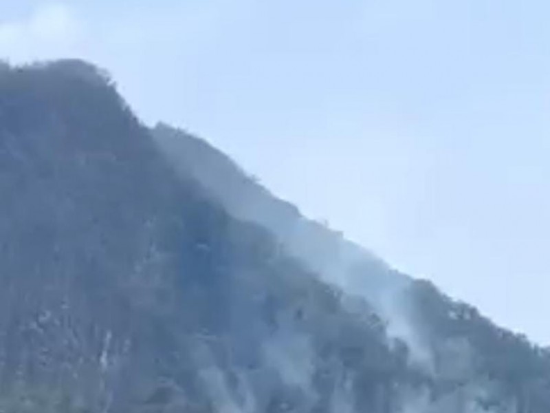 Reconoce incendio de Tlacotepec de Díaz, Secretaría de Medio Ambiente