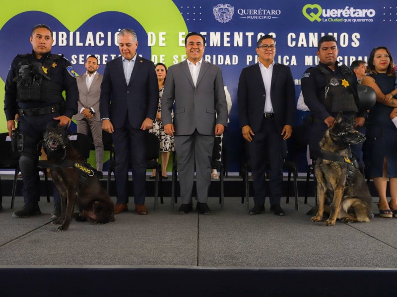 Reconoce Municipio de Querétaro a elementos caninos de Seguridad Pública
