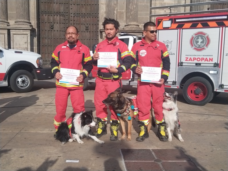 Reconocen a caninos que apoyaron en terremoto de Turquía.