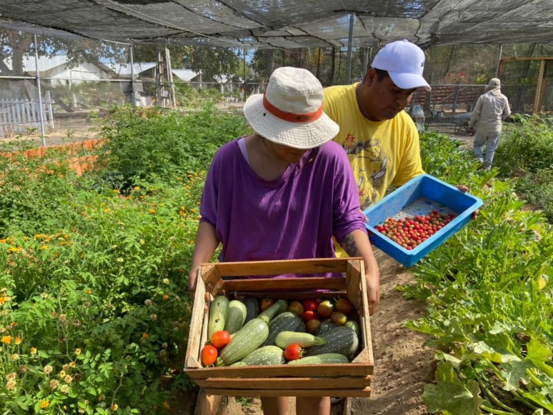 Reconversión de Islas Marías comienza a dar sus primeros frutos