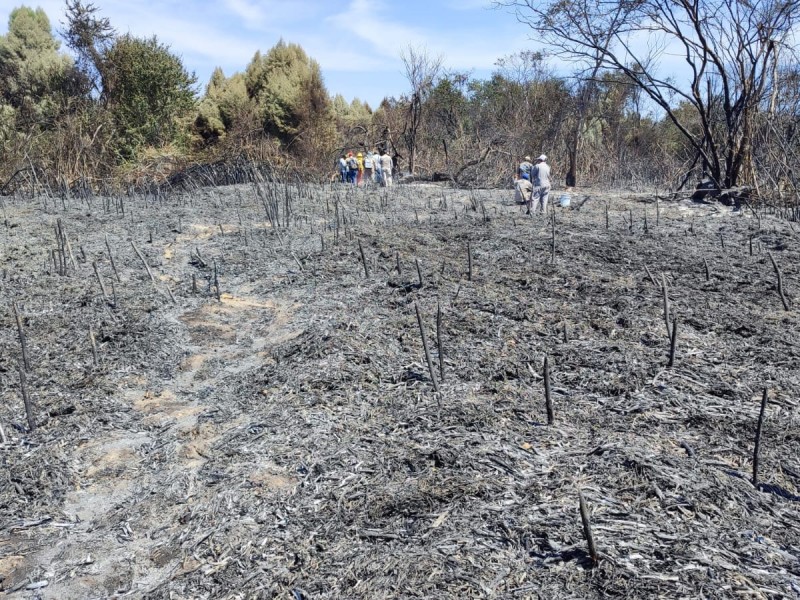Recorren zona afectada por incendio en el Estero
