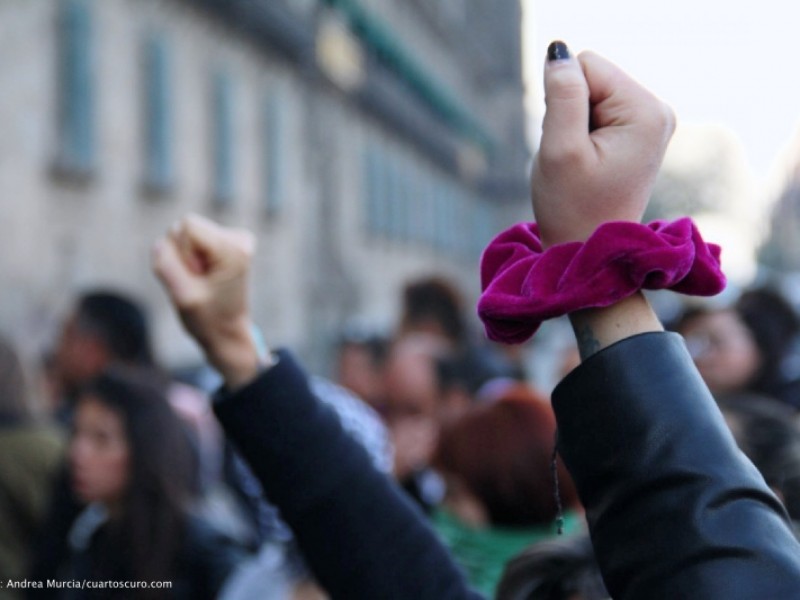 Recortan 151 mdp al Instituto Nacional de las Mujeres