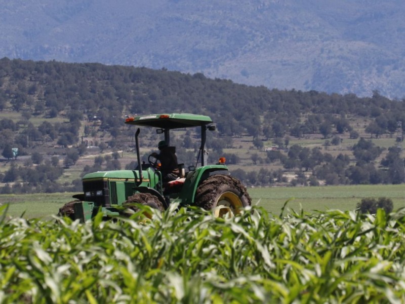 Recorte presupuestal afecta al campo queretano