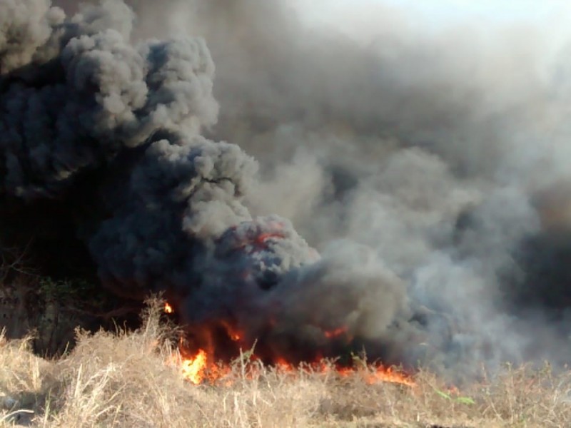 Recortes a Conafor impiden contratación de brigadas contra incendios