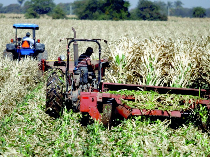 Recortes al campo afectarán a productores en Querétaro