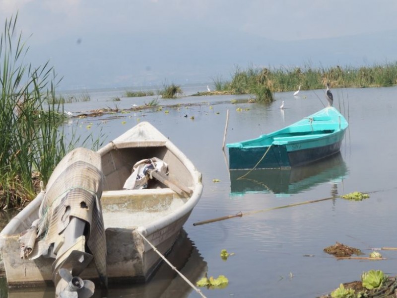 Recupera Lago de Chapala 29 centímetros  en temporal