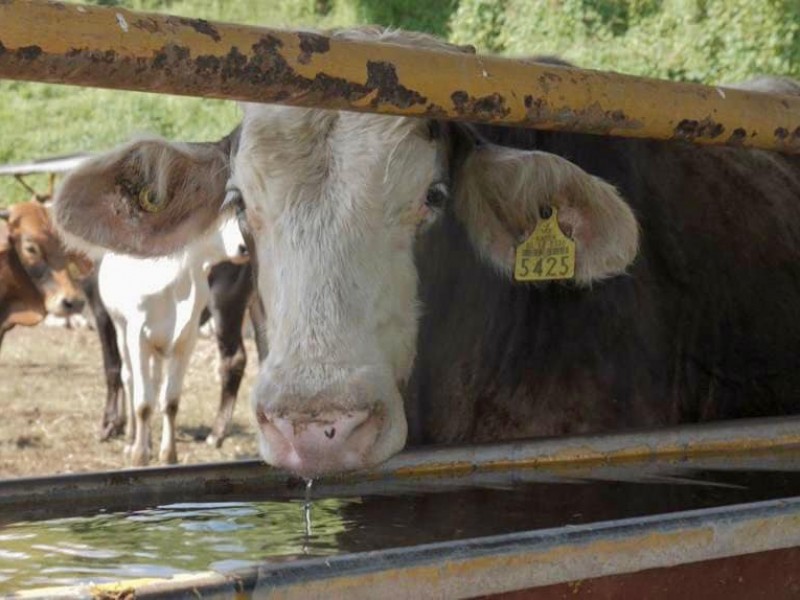 Recuperación del campo y finanzas, el reto para gobierno estatal