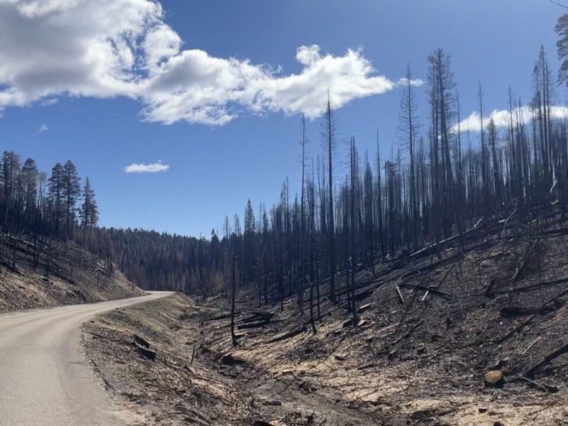 Recuperación y limpieza al norte del Gran Cañón Recuperación y limpieza al norte del Gran Cañón