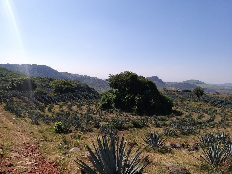 Recuperarán la zona arqueológica de Santa Quiteria