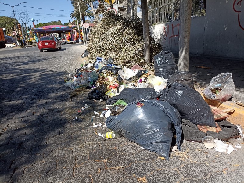 Recurrente contaminación de parques y jardines por basura