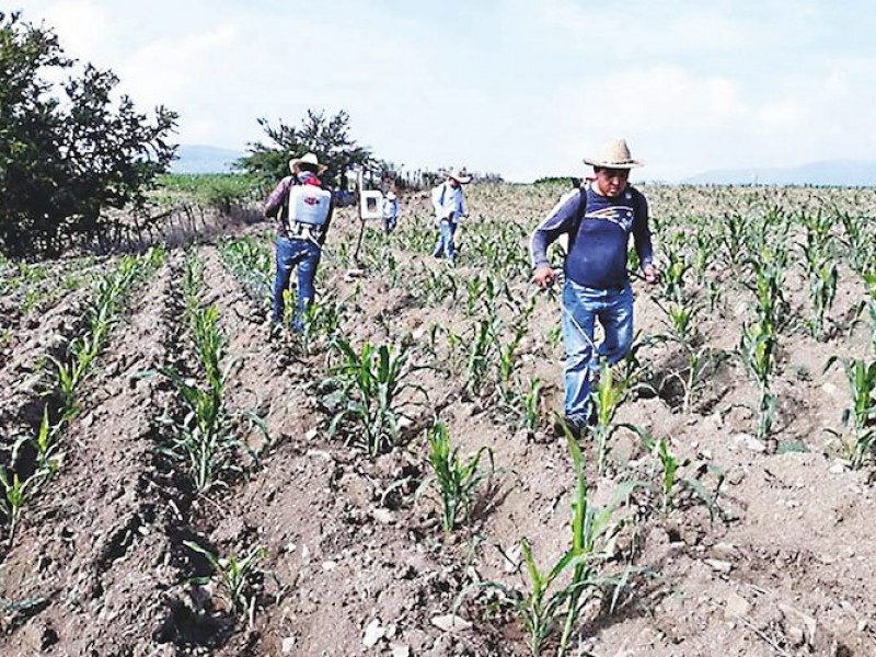 Recursos para el campo del 2022 no rescatará a productores