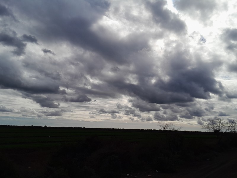 Hacen falta jornaleros en los campos agrícolas