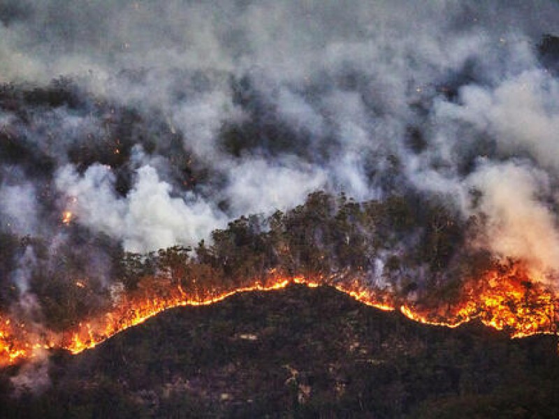 Reducción en riqueza de especies por incendios