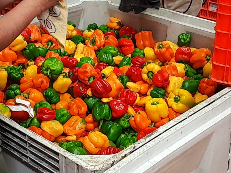 Reduce la carencia alimentaria en Zacatecas al 11.4% de la población