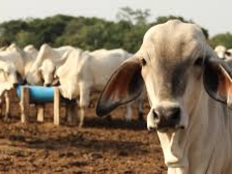 Reducen apoyos federales para el campo