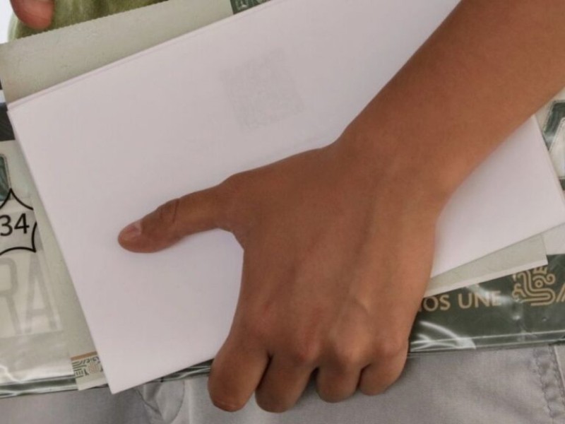 Reemplacar en Nayarit, un trámite complejo Reemplacar en Nayarit, un trámite complejo