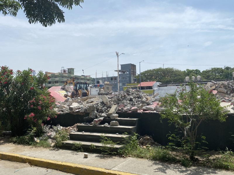 Reemplazarán 200 árboles que serán talados para andenes del ferrocarril