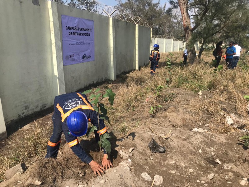 Reforesta Apiver zona norte para evitar polvareda