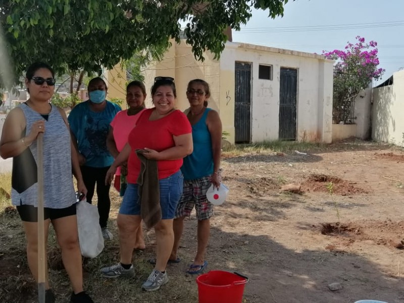 Reforesta dirección de Ecología colonias del puerto