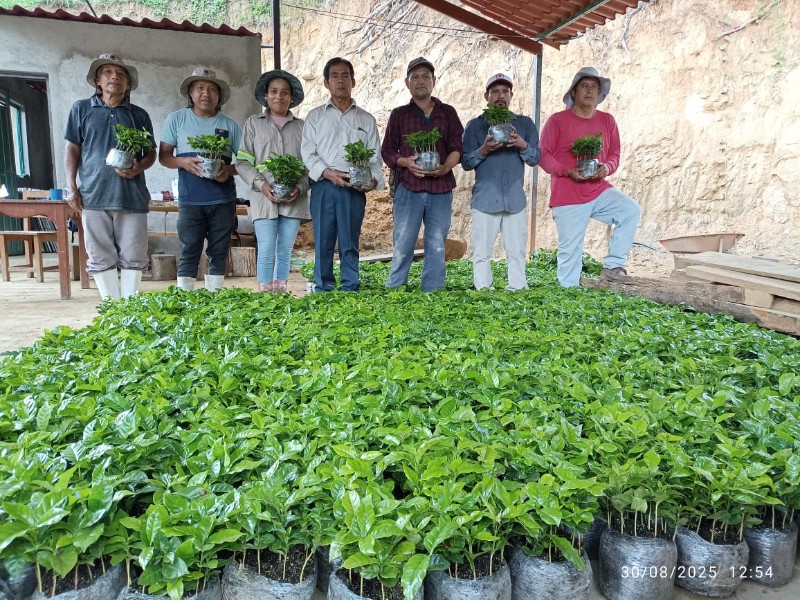 Reforesta Oaxaca 2025 renueva más de 9 mil hectáreas de ecosistemas