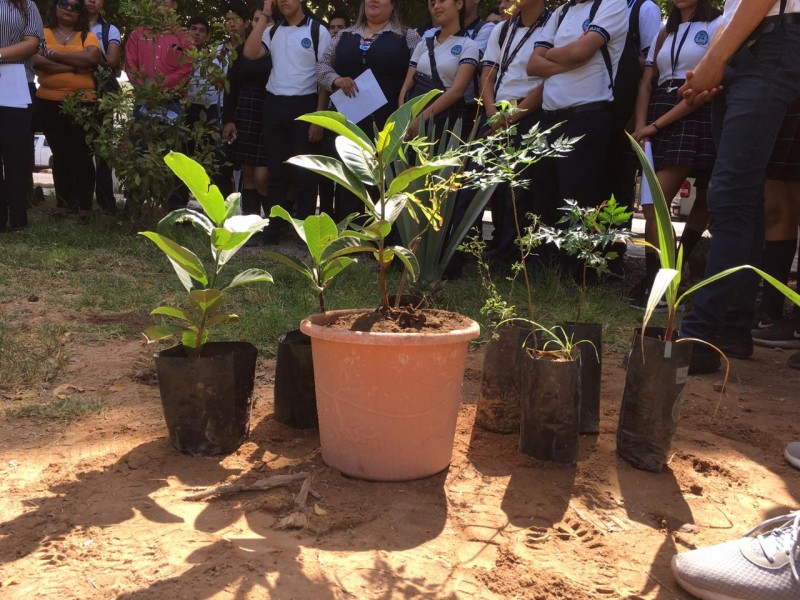 Reforestación masiva en Empalme