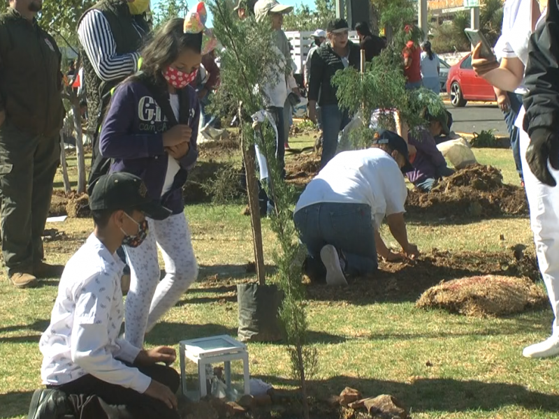 Reforestaciones con sentido social en la capital zacatecana