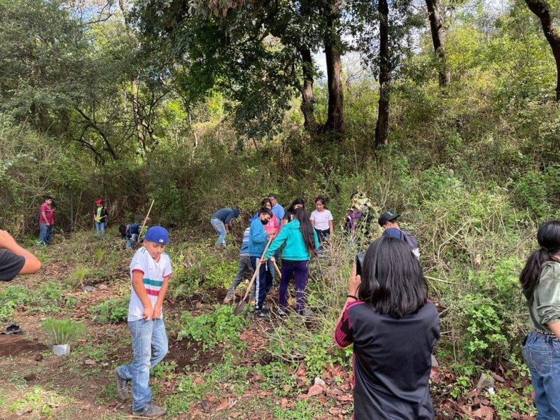 Reforestan áreas deportivas y educativas en Patamban