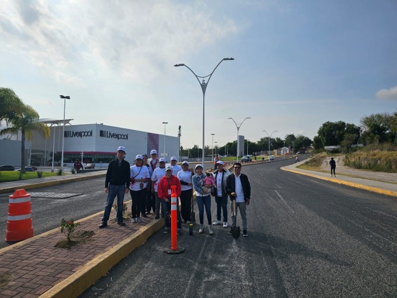 Reforestan camellón de vialidad Sara Pérez Romero