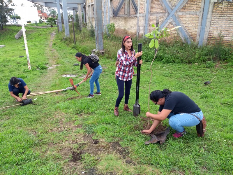 Reforestan Cd de las Artes