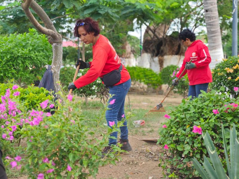 Reforestan con 100 bugambilias las jardineras del Parque Central municipal Salina Cruz