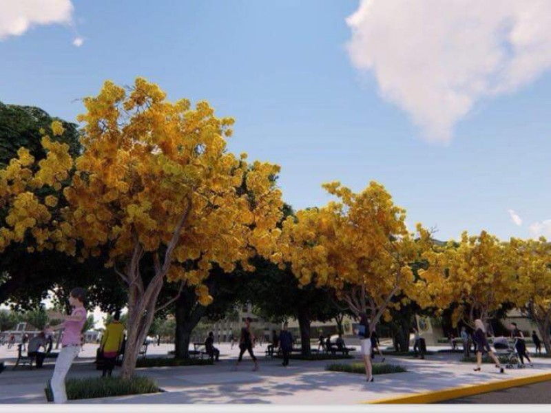 Reforestan la plaza central de Tuxtla